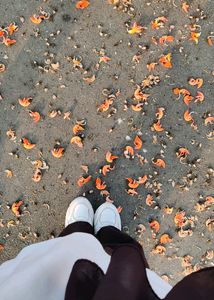 2 Pair Of White Shoes