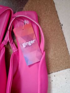 Pink Ginger Ballerinas