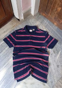 Striped Levi's Polo Shirt