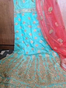 Elegant Embroidered Lehenga Choli Set