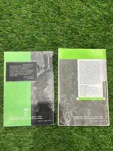 Class 12 - Vistas And Flamingo