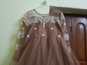 Elegant Ethnic Gown