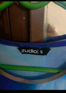 Zudio Mesh Bodycon Dress