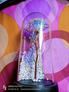Flower Lamp 🛋️🪔