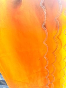 Mustard Organza Dupatta