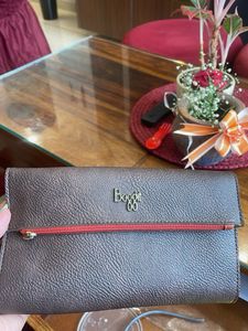 Baggit Purse