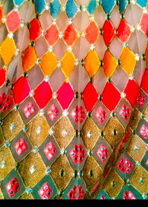Women Butterfly Lehenga Choli Same As Picture
