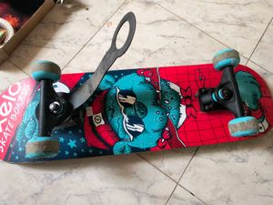 Skating Board
