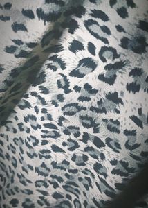 Midi Cℎeetah Print Dress ֶָ֢.
