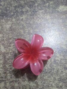 Mini Claw Clip
