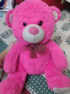 Pink Teddy Bear