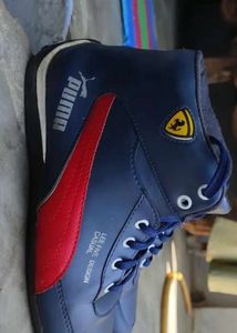 Selling PUMA shoes Farari Edition