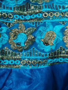 Elegant Dress Material