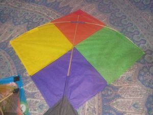 Classic 25 Piece  Blue Kite