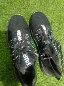 Puma Sneakers