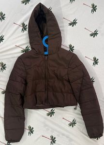 URBANIC Brown Cropped Puffer Jacket