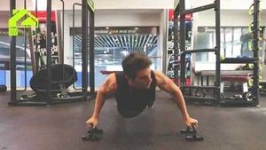 Push Up Bars