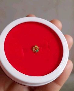 Beautiful New Ring Type Nosering