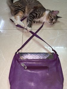 3D purple bang
