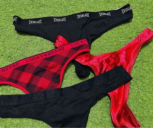 Thong Panties Bundle Xl size