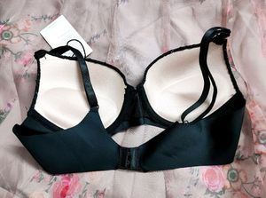 Lace Work Padded Pushup Bra