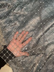 Elegant Grey Embellished Gown and chunri