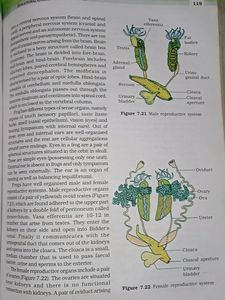 NCERT BIOLOGY TEXTBOOK FOR 11th CLASS