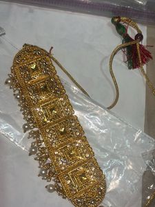 Elegant Gold Plated Choker