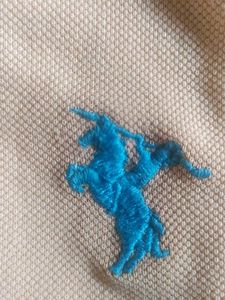 Good Condition Tshirt