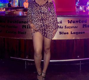 Leopard Print Mini Dress