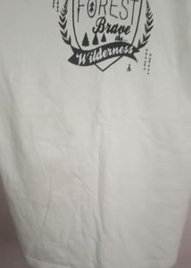 Combo Of 5 Tshirts