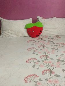 🍅 Cute Tomato Soft toy Cum Cushion