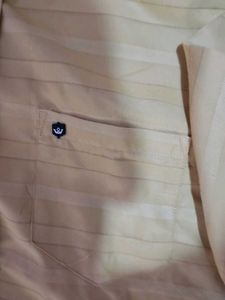 Striped Casual Shirt
