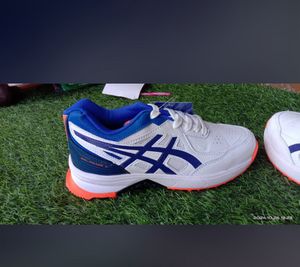 Branded Shoes At Wholesale Price