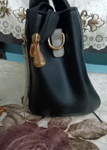 Black Purse