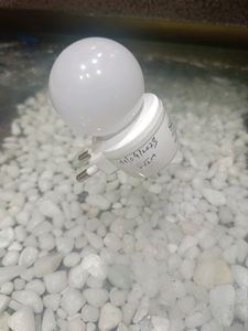 Night Light Lamp White Color