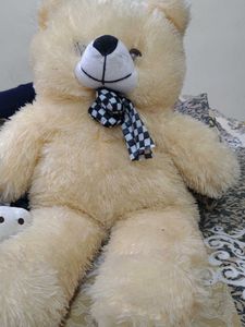 Cute Cream Teddy Bear