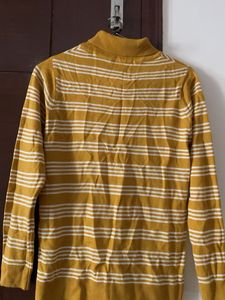 Striped Turtleneck Sweater