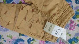 Animal Print Cropped Pants