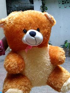 Teddy