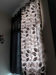 Printed Curtain Set of 2