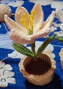 Lily Flower With Pot