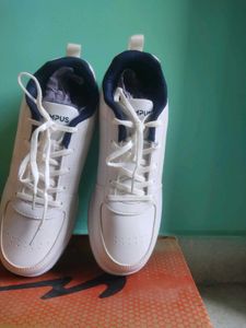 Campus White and navy blue Casual Sneakers for men