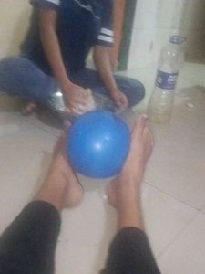 Sijs