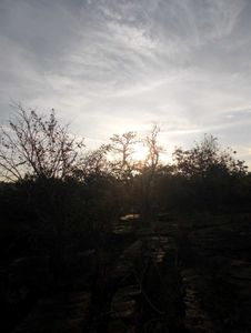 Nikon Coolpix L26