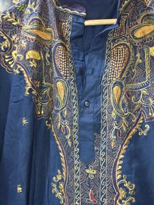 paisley Embroidered Blue Kurta XXL