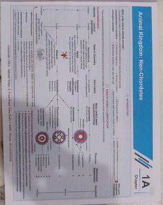 Ncert Maps For Neet = Zoology