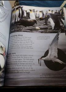 Knowledge Encyclopedia