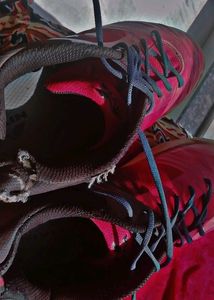 NIVIA Shoes For Badminton/ Tennis /Squash/More