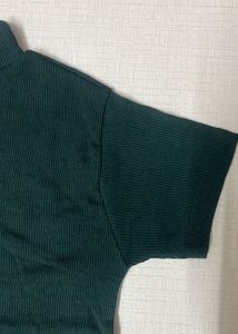 Turtle Neck Green Top